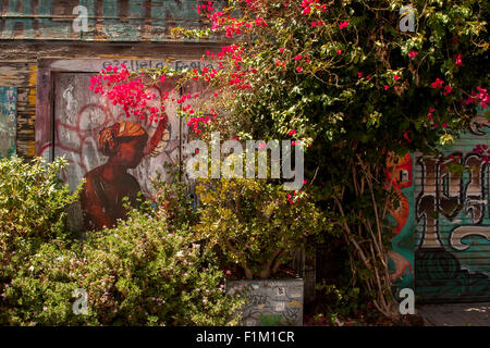 Lauen Alley ist eines der am meisten gingen Straßen in The Mission wegen seiner Sammlung von Wandmalereien. Bilder nur zu redaktionellen Zwecken. Stockfoto