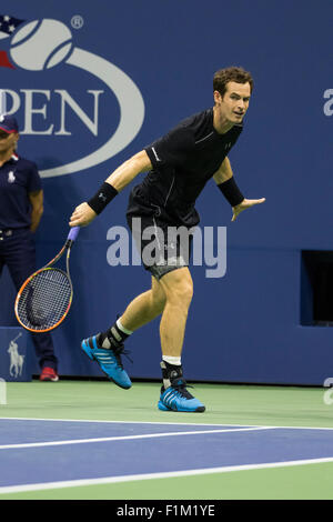 Andy Murray (GBR) im Wettbewerb bei den 2015 US Open Tennis Stockfoto