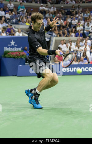 Andy Murray (GBR) im Wettbewerb bei den 2015 US Open Tennis Stockfoto