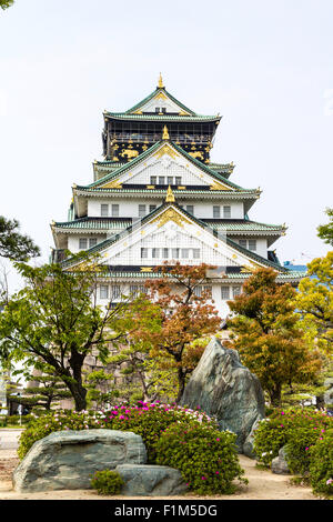 Burg von Osaka vom honmaru gesehen. Borogata Stil rekonstruiert in Weiß mit grünen Dächern. Einige Bäume im Vordergrund. Stockfoto