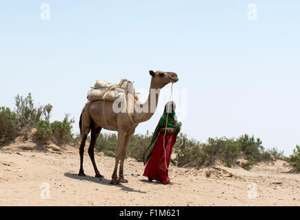 Eine Ferne Frau mit ihr Kamel in der rauen, trockenen Wüste in der Danakil-Senke. Stockfoto