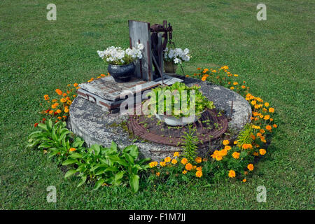 Rustikale floral Bett-Beton, orange Ringelblumen, wilde Erdbeeren und duftenden Tabak Blumen. Grüne Sommer Rasen Stockfoto