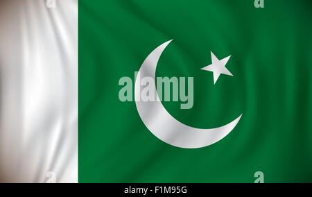 Flagge von Pakistan - Vektor-illustration Stock Vektor