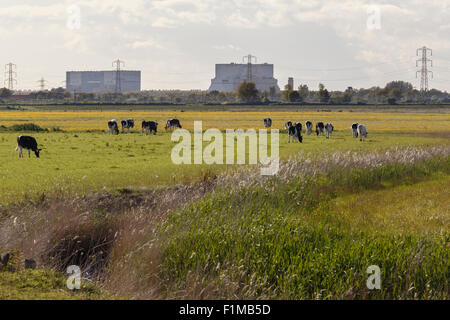 Kernkraftwerk Hinkely Punkt. Eine Station bis zur linken, B-Station auf der rechten Seite. Vom Steart Salzwiesen Naturschutzgebiet. Stockfoto