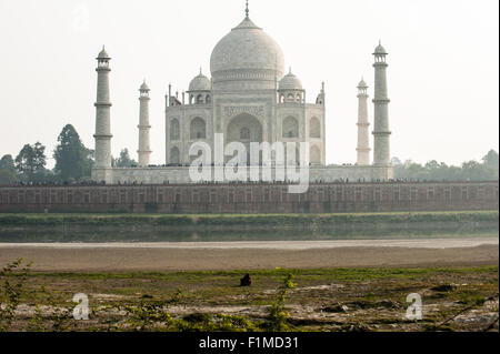 Agra, Utar Pradesh, Indien. Taj Mahal von der anderen Seite des Flusses Yamuna, den vorgesehenen Standort des Taj Schwarz nie gebaut. Stockfoto