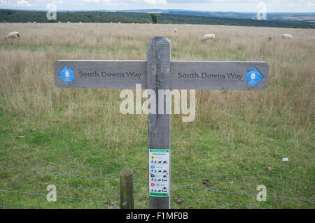 South Downs Way Wanderer zu unterzeichnen. Butser Hill, South Downs National Park, Hampshire, UK Stockfoto