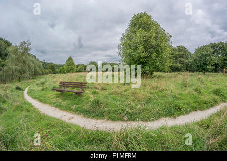 Fisheye Landschaft - Stadtpark Lostwithiel. Bleiben Sie auf dem richtigen Weg Metapher, direkt auf dem richtigen Weg. Gebogene Strecke, Covid Parkbank Wiedersehenschaften. Stockfoto