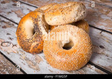 Vielzahl von kernigen authentische New York Style bagels Stockfoto