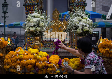 Bangkok, Thailand. 4. Sep, 2015. Eine Frau legte Blumen vor der Brahma-Statue an der Erawan-Schrein im Zentrum von Bangkok am 4. September 2015, nach der Wiederherstellung der beschädigten Statue vom 17. August Bombenanschlag die 20 Menschen getötet und verletzt mehr als Hunderte. Bildnachweis: Guillaume Payen/ZUMA Draht/Alamy Live-Nachrichten Stockfoto