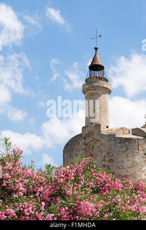 Der Turm von Konstanz, Aigues-Mortes, Languedoc-Roussillon, Frankreich, Europa Stockfoto