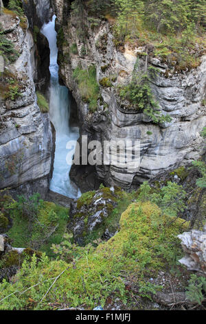 Kanada, Alberta, Jasper Nationalpark, Maligne Canyon, Stockfoto