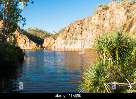 Abendlicht leuchtenden Felsen von den unteren Pool am Leliyn (Edith Falls), Nitmiluk Nationalpark, Northern Territory Stockfoto