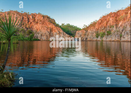 Abendlicht leuchtenden Felsen von den unteren Pool am Leliyn (Edith Falls), Nitmiluk Nationalpark, Northern Territory Stockfoto