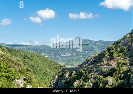 Das Pech de Bugarach gesehen von D 9 Fahrt ins Tal von Fenouillet, Roussillon, Südfrankreich Stockfoto