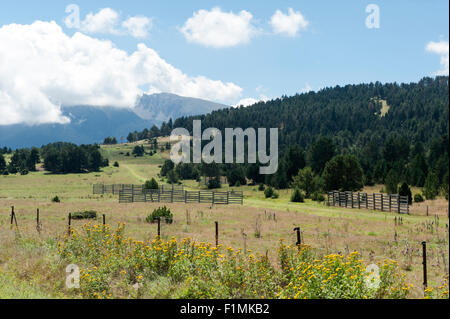 Typische Landschaft in der Nähe von Coll De La Quillana auf dem Capçir Plateau der Pyrenäen, Südfrankreich Stockfoto