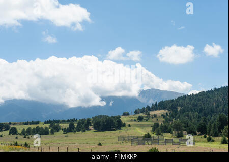 Typische Landschaft in der Nähe von Col De La Quillana auf dem Capçir Plateau der Pyrenäen, Südfrankreich Stockfoto