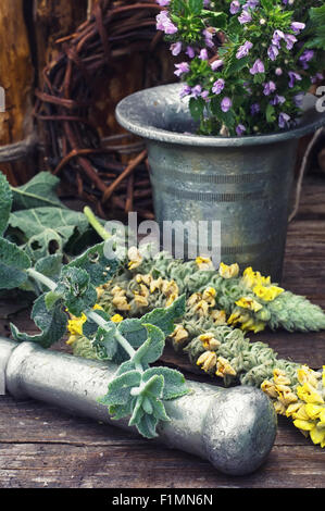 Schneiden Sie Haufen Heilpflanzen, Mörtel auf Holztisch. Abgeschwächt. Stockfoto