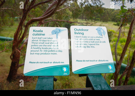 Informationstafel über Koala Koala Conservation Center. Stockfoto