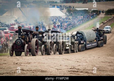 Dampf-Lokomobile im Konvoi an der Great Dorset Steam Fair, Blandford, Dorset UK Stockfoto