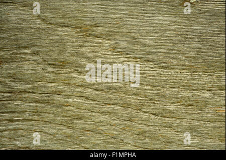 TEXTUR HOLZBOHLE Stockfoto