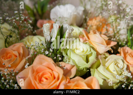 Weiße Spitzen Blüten, die nur in einem Bouquet von leichten orange und grünlich gelbe Rosen mit Babys Atem öffnen möchten. Stockfoto