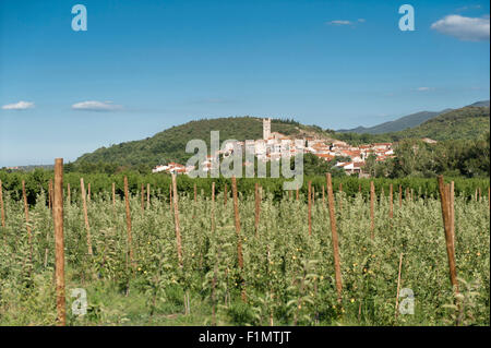 Blick über Felder, Marquixanes, einem Dorf im Tal Têt, Pyrénées-Orientales, Südfrankreich Stockfoto