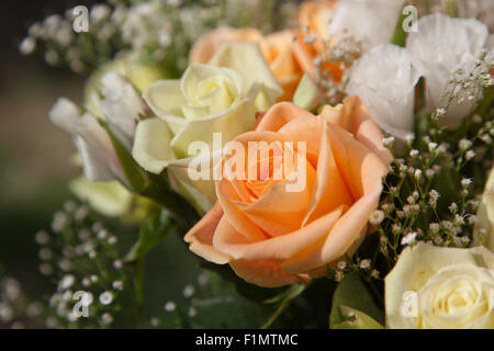 Ein Rosenstrauß Pastell orange und gelb mit weißen Spitzen Blumen und Babys Atem. Stockfoto