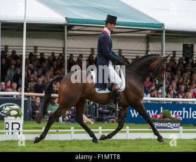 Stamford, Lincs, UK. 4. September, phase 2015.William Fox-Pitt (GBR) und Fernhill Pimms [#74] während der Dressur am zweiten Tag des Wettbewerbs.  Der Land Rover Burghley Horse Trials 2015 Credit: Stephen Bartholomäus/Alamy Live-Nachrichten Stockfoto