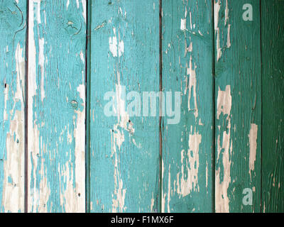 Detail von einem grünen Zaun aus Holzbohlen mit Farbe abplatzt grün an einem sonnigen Sommertag. Stockfoto