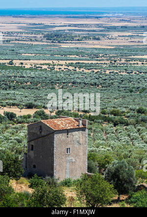 Wohnturm zwischen Rignano Garganico und San Giovanni Rotondo in der Tavoliere Gegend der Provinz Foggia, Halbinsel Gargano, Mops Stockfoto