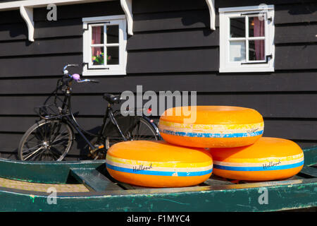 Holländischer Käse Räder auf einem grünen Wagen mit Bauernhaus im Hintergrund Stockfoto