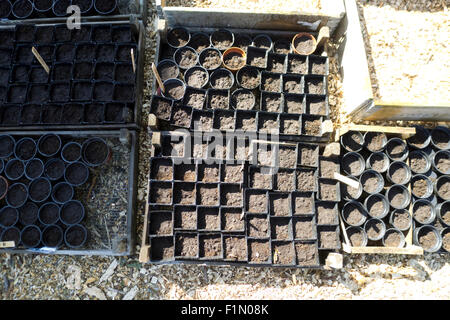 Kunststoffbehälter für die Bepflanzung im Garten Stockfoto