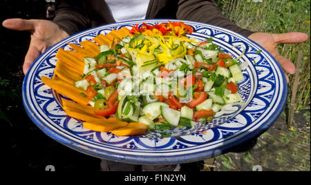 Sommer-Salat halten im Garten Stockfoto