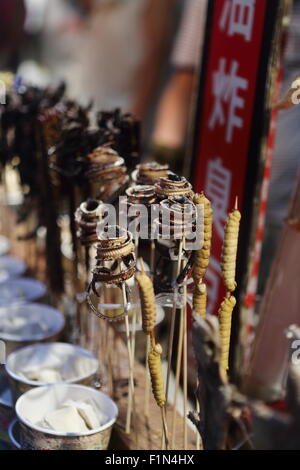 Garküche mit exotischen Speisen in Wang Fu Jing, Peking, China Stockfoto