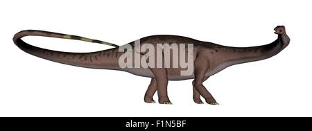 Apatosaurus Dinosaurier laufen isoliert in weißem Hintergrund - 3D render Stockfoto