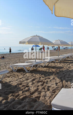 Sonnenliegen und Sonnenschirme aufgereiht am Strand in San Juan Playa, Alicante, mit Menschen in den frühen Morgenstunden am Strand ankommen. Stockfoto