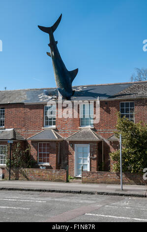 Headington Shark Skulptur, Oxford, Vereinigtes Königreich Stockfoto