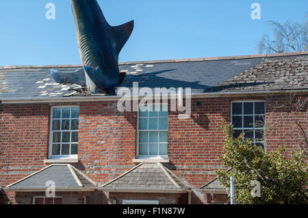 Headington Shark Skulptur, Oxford, Vereinigtes Königreich Stockfoto