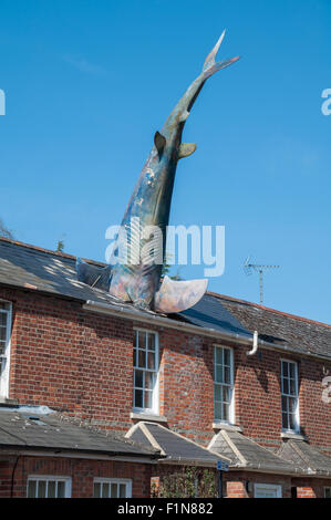 Headington Shark Skulptur, Oxford, Vereinigtes Königreich Stockfoto