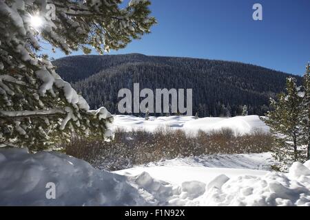 Winterlandschaft in Colorado Summit County, USA. Stockfoto