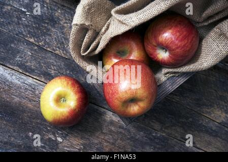Bio-Äpfel auf Holz. Frische Äpfel in Holzkiste mit Leinwand. Stockfoto
