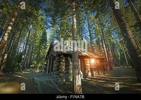 Im Alter Wald Blockhütte irgendwo in die Berge der Sierra Nevada, USA. Stockfoto