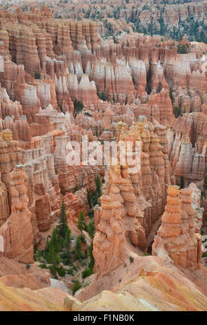 Ansichten von Rim Trail zwischen Sonnenuntergang und Inspiration Point im Bryce Canyon National Park in Utah Stockfoto