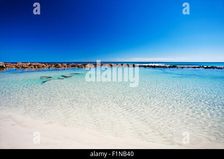 Rockpool bei stokes Bay, Kangaroo Island Stockfoto