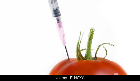 Gentechnisch veränderter Organismus Nahrung Konzept Bild. Nadel Spritze injiziert in Tomate Stockfoto