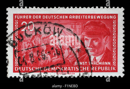 Briefmarke gedruckt in DDR (Ostdeutschland) zeigt Ernst Telman (1886-1944), Führer der kommunistischen Partei Deutschlands, ca. 1955 Stockfoto