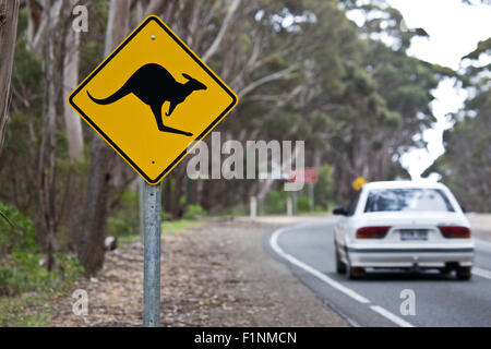 Känguru Schild an einer Straße Stockfoto