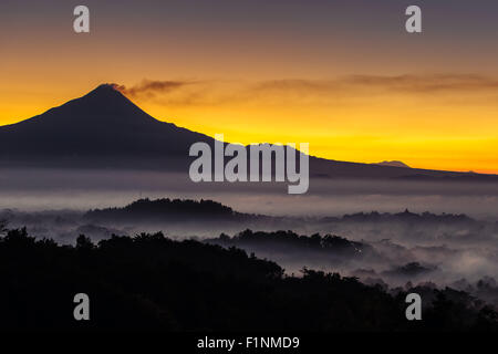 Bunte Sonnenaufgang über dem Vulkan Merapi und Borobudur-Tempel in nebligen Regenwald, Indoneisa Stockfoto