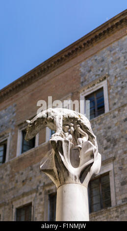 Siena, Toskana, Italien Stockfoto
