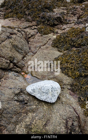 isolierten weißen Granitfelsen auf dunklen Küste Granit Stockfoto